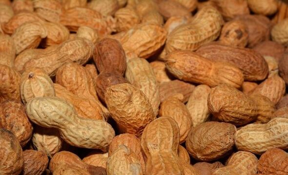 Arachis za potencijal
